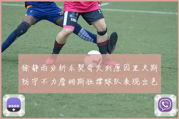 徐静雨分析东契奇失利原因里夫斯防守不力詹姆斯独撑球队表现出色