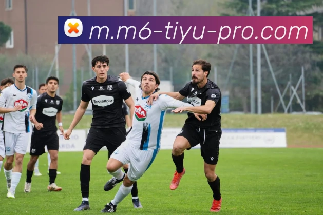 M6体育平台生态图